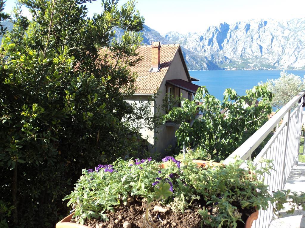 Guest House Pajovic Kotor Luaran gambar