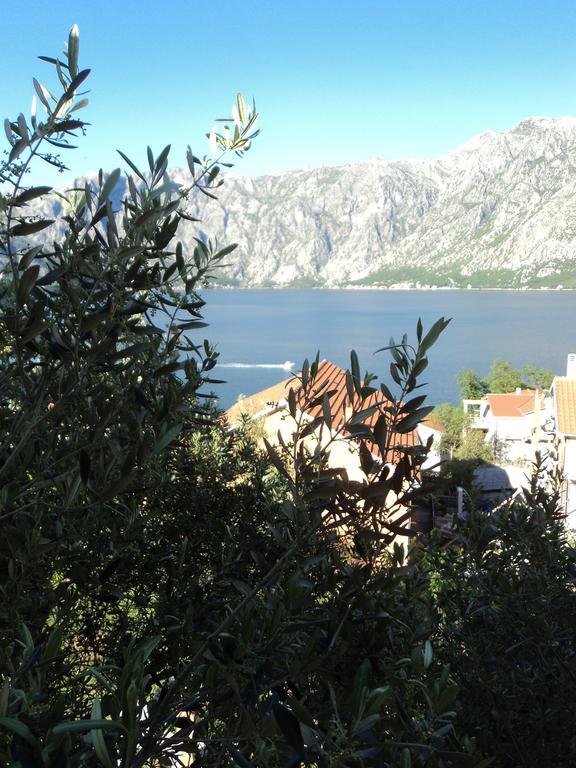 Guest House Pajovic Kotor Luaran gambar
